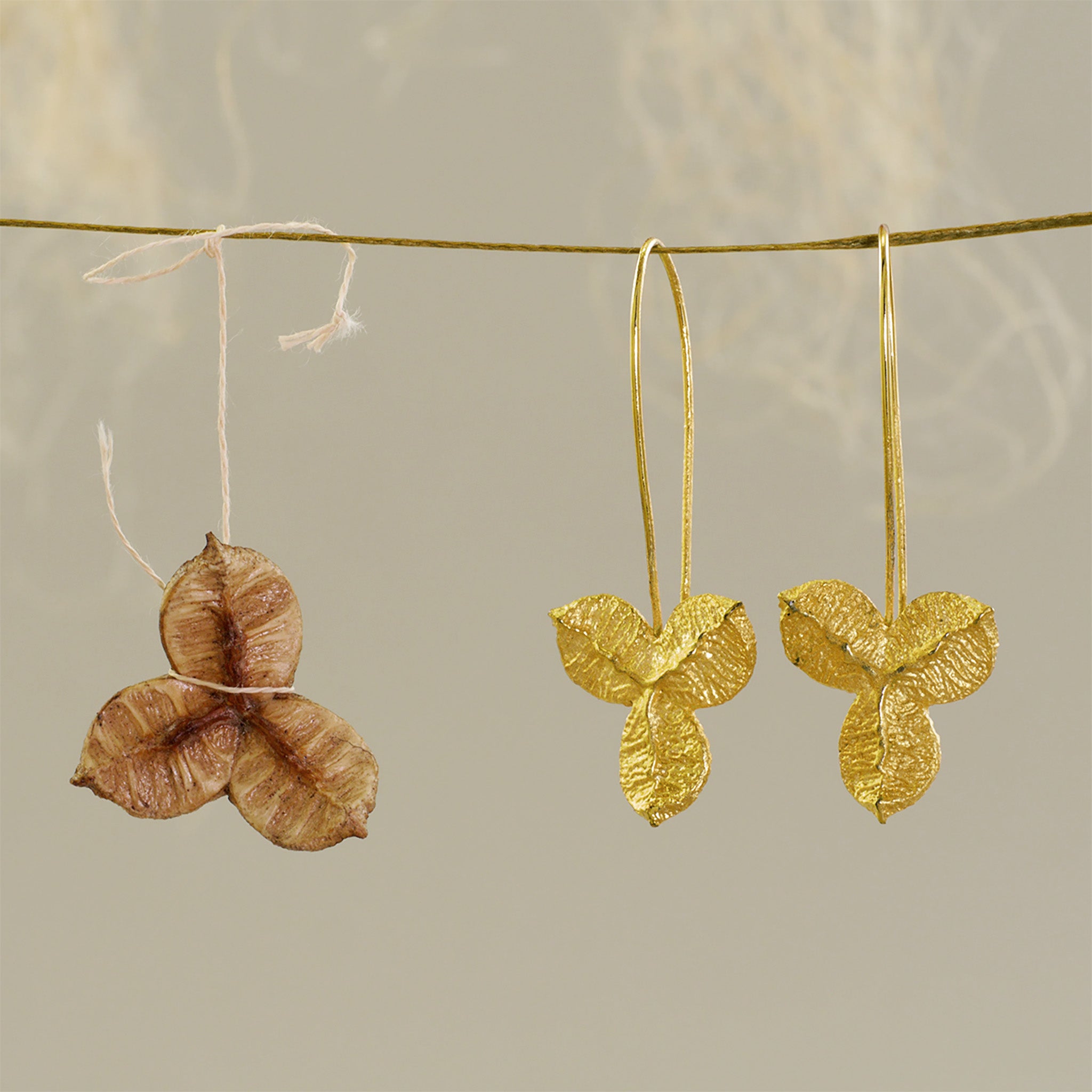 Nature-inspired Yellow Gold Drop Earrings with Unique Textured Design hanging from a natural thread beside the original seed.